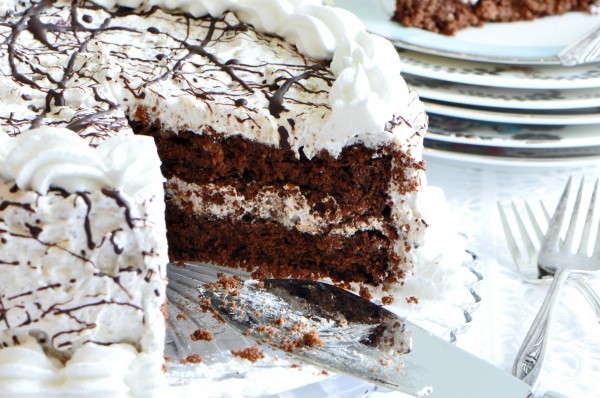"Perfect for Passover Chocolate Noisette Layer Cake"