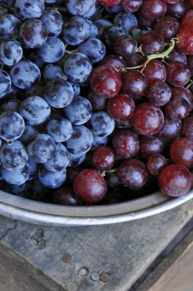 "Concord Grape Jam Recipe"