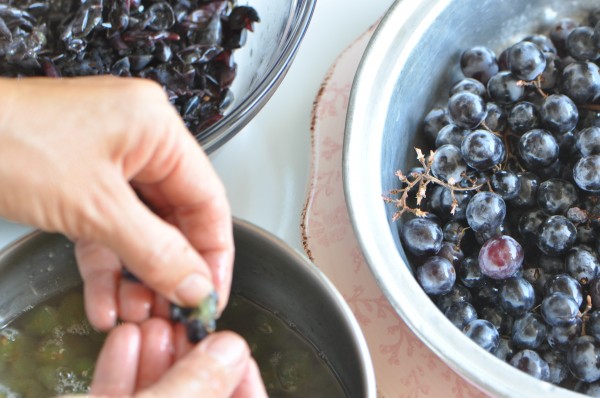 "Concord Grape Jam Recipe"