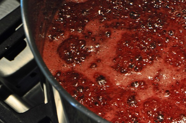 "Concord Grape Jam Recipe"