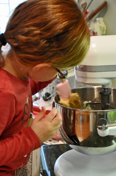 "Gingerbread Cookies Recipe"