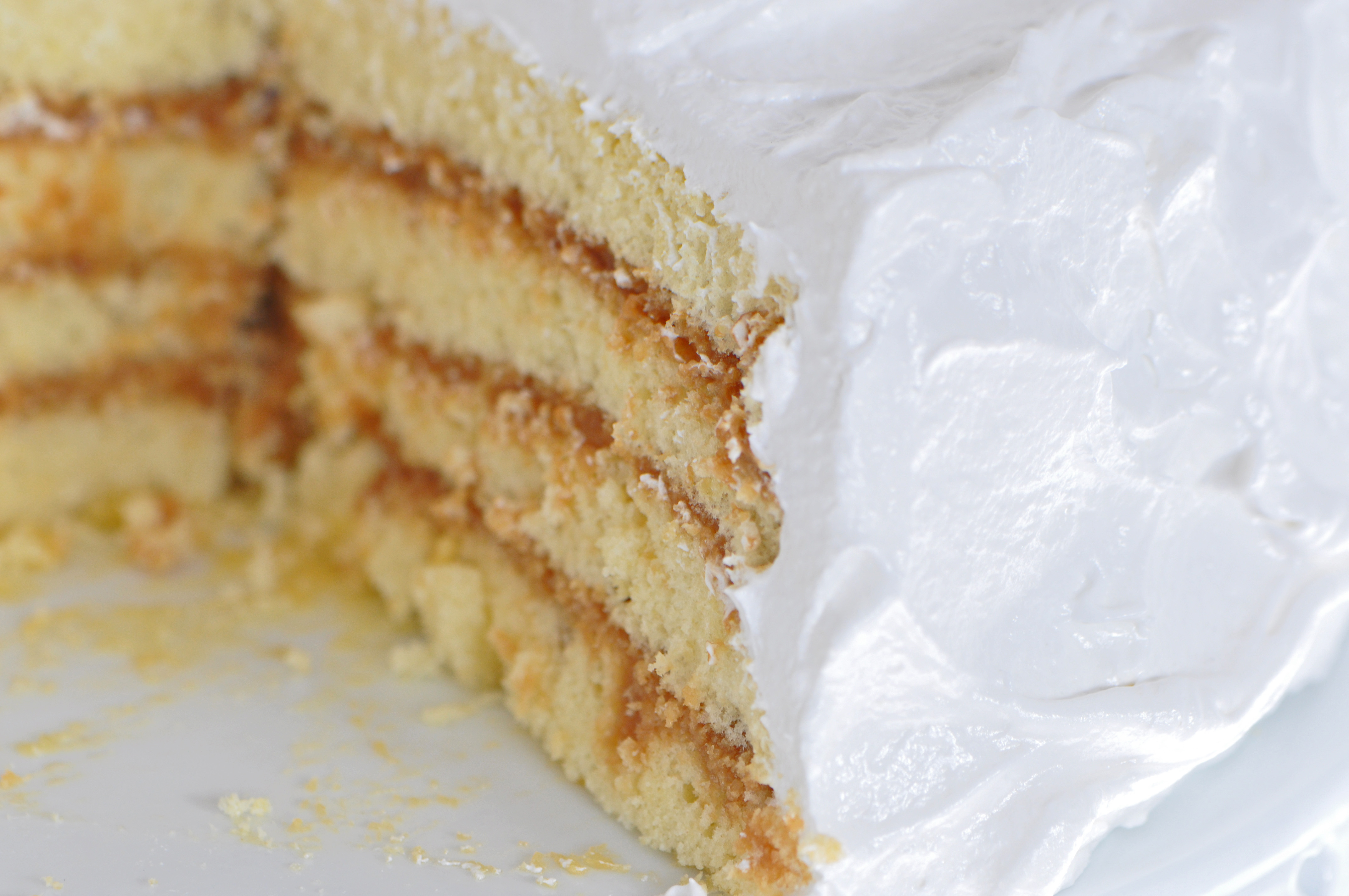Dulce de Leche Cake