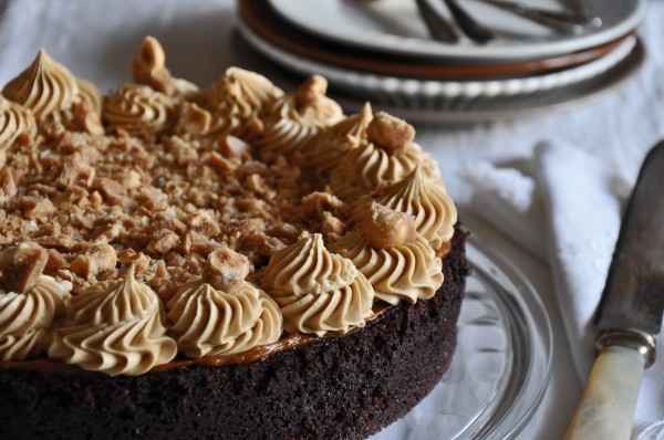 Chocolate Cake with Salty Hazelnut Brittle Recipe