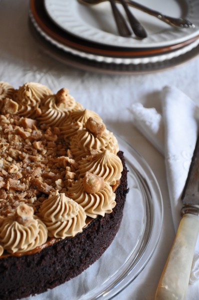 Chocolate Cake with Salty Hazelnut Brittle Recipe