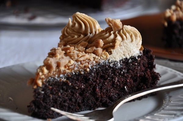 Chocolate Cake with Salty Hazelnut Brittle