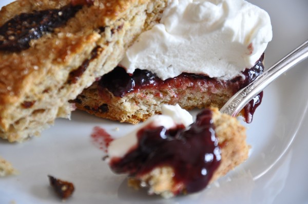 Winter Jam Shortcakes Recipe