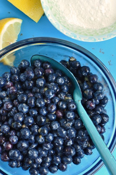 Blueberry Pie Recipe