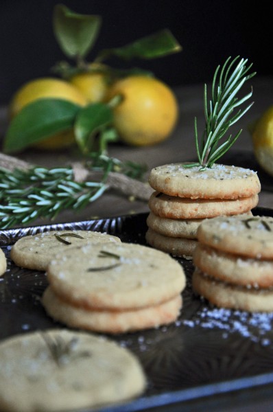 Savory Rosemary Cheese Cookies Recipe