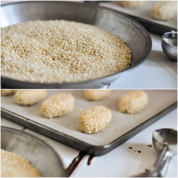 Sesame Seed Butter Cookie Recipe