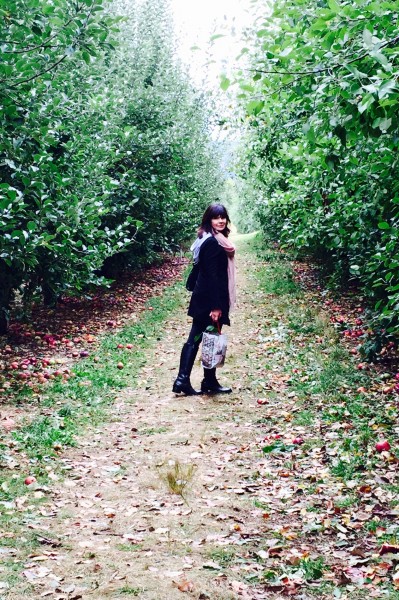 Apple picking NY