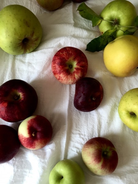 Apple and Maple Syrup Pie Recipe