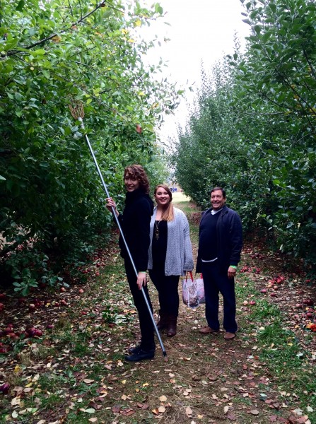 Apple picking NY