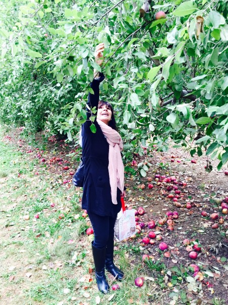 Apple picking NY