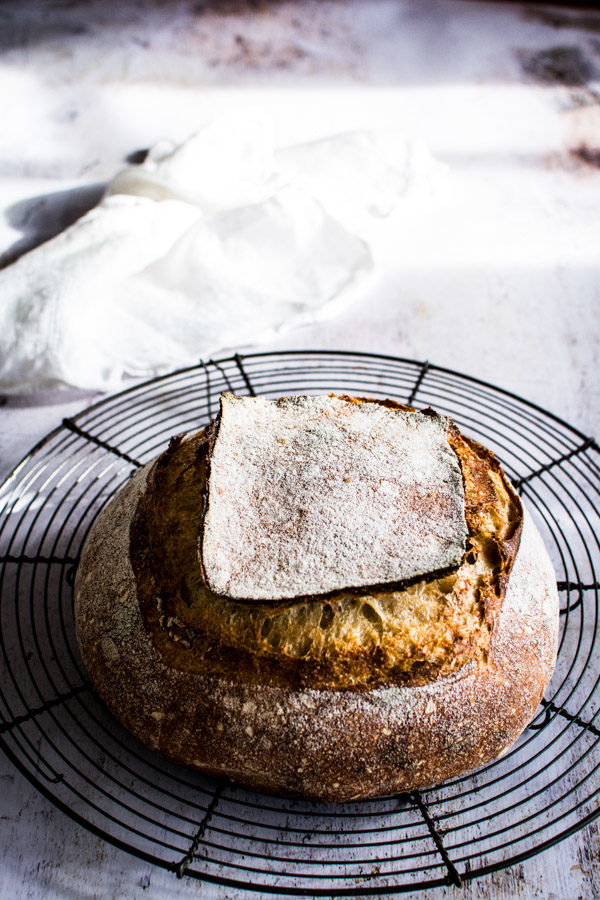 Sourdough Bread